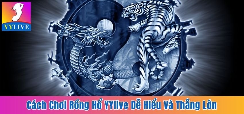 Cách Chơi Rồng Hổ Yylive Dễ Hiểu Giúp Bạn Làm Chủ Ván Cược 1 cách chơi Rồng Hổ YYlive