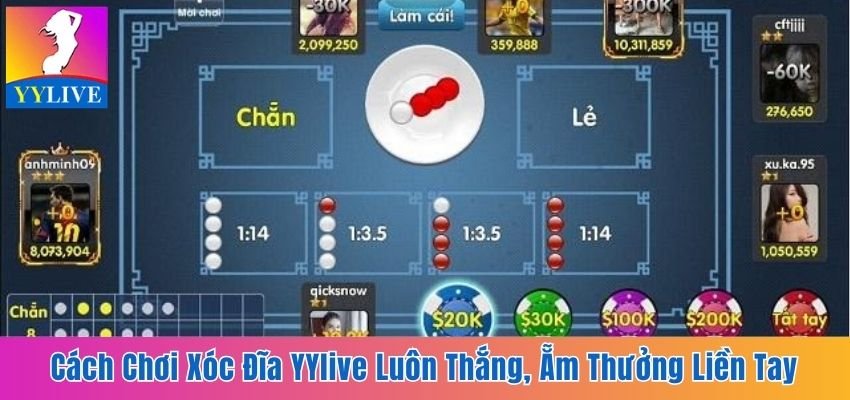 Cách Chơi Xóc Đĩa YYlive Luôn Thắng, Ẵm Thưởng Liền Tay 2 cách chơi xóc đĩa YYlive