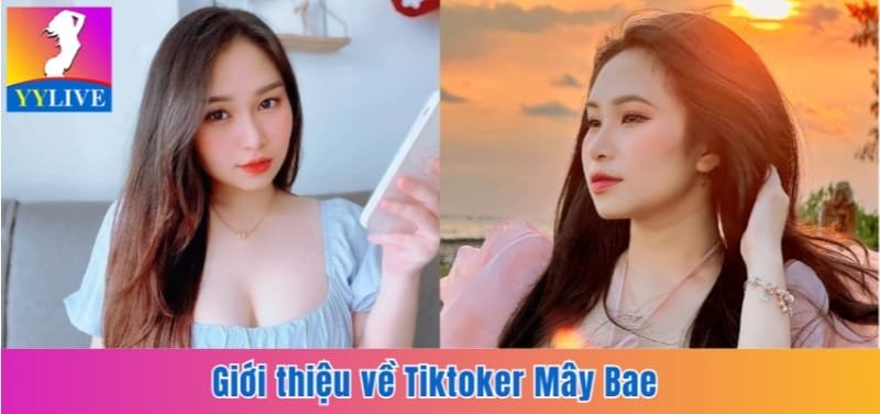 Tiktoker Mây Bae | Lùm Xùm Tiểu Tam Nhận Chu Cấp 8 Tỷ 2 Giới thiệu về Tiktoker Mây Bae