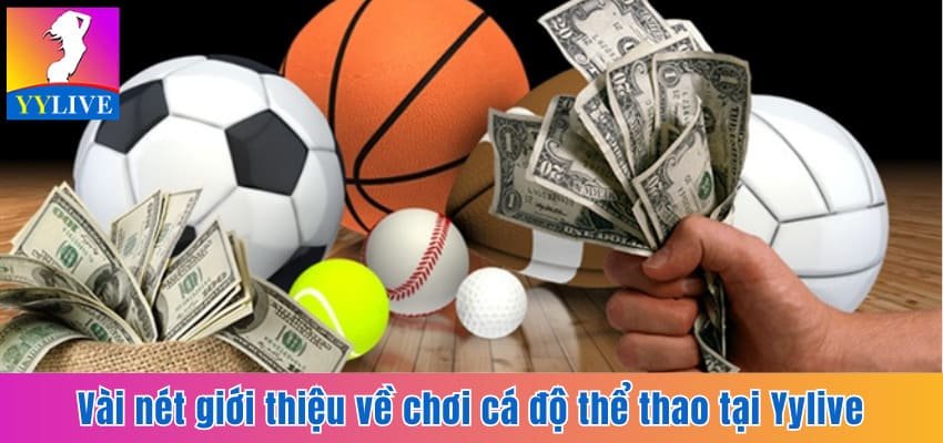 Vài nét giới thiệu về chơi cá độ thể thao tại YYlive