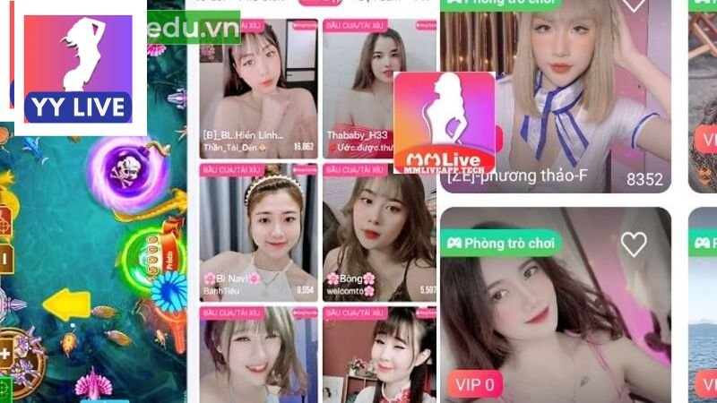 Top các app liveshow miễn phí bạn có thể tham khảo 